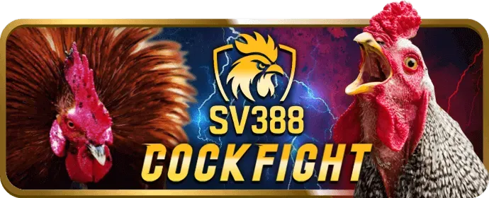 Ưu đãi giá trị cao full88